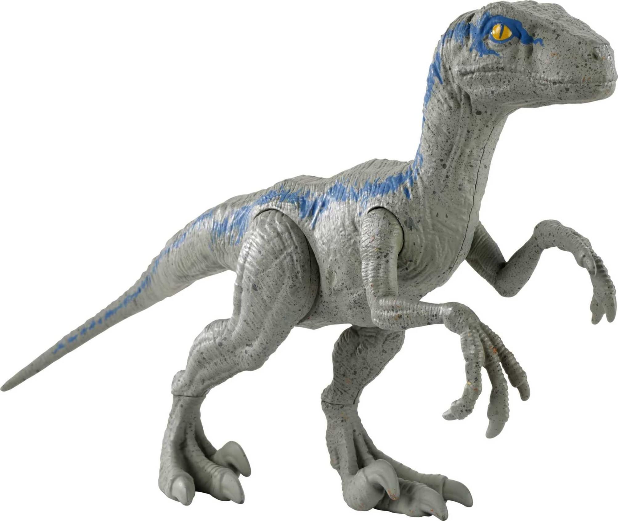 Boneco De Ação Mattel Jurassic World Large Basic Velociraptor Blue