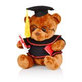 Urso De Pelúcia De Formatura Yixiang 8,5 Polegadas Com Óculos E Diploma