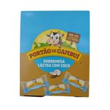 Sobremesa Láctea Portão De Cambuí Com Coco 960g 40 Unidades
