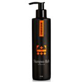 Shampoo Rub Para Cabelo Masculino Embaixador 250ml