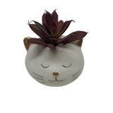 Cachepô Gatinho - Cor branco e dourado com suculenta artificial