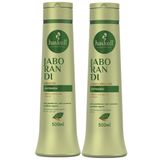 Kit Shampoo Condicionador 500ml Haskell Jaborandi
