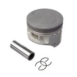 Prot Mao Circuit Fenix Carbon Ii Fe Preto-preto [f016]