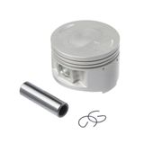 Prot Mao Circuit Dakar Universal Carbon-preto [f016]