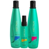 Aneethun Kit Cachos System Shampoo E Óleo Low No Poo