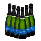 Kit 06 Espumantes Salton Séries Brut 750ml