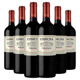 Kit 6 Garrafas Tarapacá Cosecha Carménère