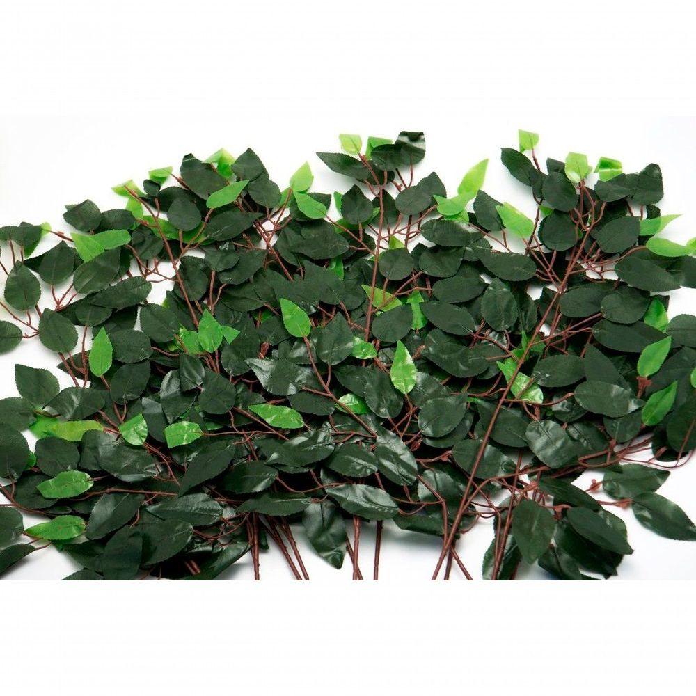 12 Ramos Folhas Decorativas Artificiais Muro Inglês Ficus 12 Galhos Cada 52cm