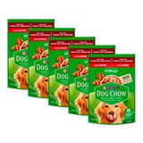 Ração Úmida Para Cachorro Dog Chow Adulto Extra Life Sabor Carne Em Sachê 100g | Kit Com Cinco Unidades