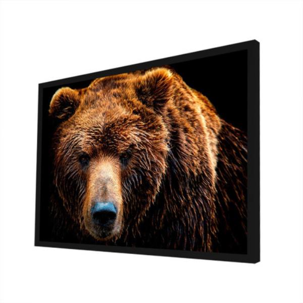 Quadro Decorativo Animais Urso Grande 53x73cm