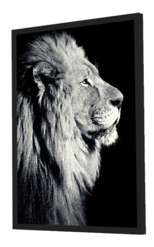 Quadro Decorativo Animais Leão P&b Grande 53x73cm