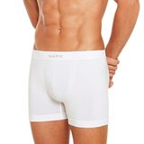 Cueca Boxer Micromodal Lupo 661-001