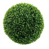 Buchinho Artificial Tamanho 10cm Grama Buxo