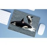 Mouse Pad Emborrachado Personalizado Praia Mar Oceano, 40 X 30 Baleia Jubarte