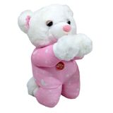 Urso Pelúcia Reza Pai Nosso Rosa 22 Cm Altura