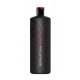 Shampoo Sebastian Penetraitt 1000ml