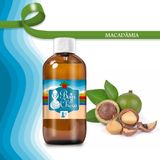 Essencias Aromatizantes Difusor De Ambiente Macadâmia 100ml