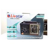 Radio Retro Portátil Livstar 2732 - Am Fm Sw Usb
