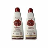 Shampoo + Condicionador Vegano Arvensis Sangue Dragão 300ml