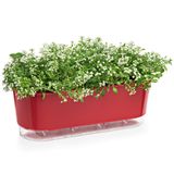 Jardineira Vaso Raiz Auto Irrigável 40cm Vermelho Plantas