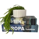 Kit Decoração 2 Livros Na Cor Azul + Vaso Branco Trabalhado