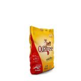 Ração Cães Adultos Todas As Raças Sabor Carne 15kg