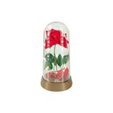 Luminária Bela E A Fera Rosa Encantada Presente Dia Das Mães