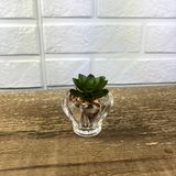 MINI VASO DE VIDRO COM SUCULENTA - MOD B