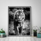 Quadro com Moldura Chanfrada Tigre Preto e Branco