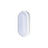 Tartaruga Phare Led 24w 6500k Branco