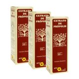 Extrato De Própolis 30 Ml - Apis Flora 3 Un