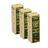 Extrato De Própolis Verde 30ml Apis Flora 3 Un
