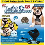 Coleira Para Cães E Gatos Pets Magnética Retrátil Leash