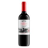 Vinho Tinto Seco Montana Dorada Cabernet Sauvignon 750 Ml