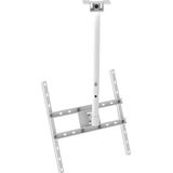 Suporte Multiforma Teto Tv 10 A 65 Oled/led/lcd/3d - Nfp253
