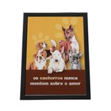 Quadro Com Moldura Os Cachorros Nunca Metem Sobre O Amor