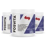 Kit 3 Fosvita Regulador Intestinal Vitafor 250g