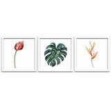 Quadros Decorativos 3 pçs 25x25 Flores Folhas Moldura Branca