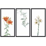 Quadros Decorativos 3 Peças 30x60 Flora Moldura Preta