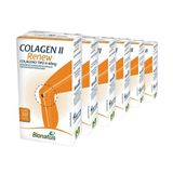 6x Renew Colageno Tipo Ii + Vit + Min 30 Cps Bionatus