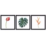 Quadros Decorativos 3 Pçs 25x25 Flores Folhas Moldura Preta