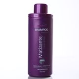 Shampoo Matizante Extrato de Açai Aramath 1L Profissional