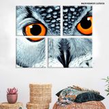 Conjunto de 4 Telas Decorativas em Canvas Olhar da coruja Único