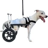 Cadeira Rodas Para Cachorro Pet De Grande Porte N4 Off Road