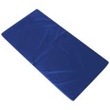 Colchonete Academia Fitness Orthovida D33 100 X 60 X 3 Cm - Azul