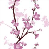 Papel De Parede Adesivo Floral Flor Rosa 112