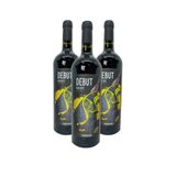 KIT 3 VINHO ARGENTINO DEBUT MALBEC 750 ML