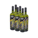 KIT 6 VINHOS ARG DEBUT TORRONTES 750 ML