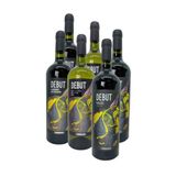 KIT 6 VINHOS ARGENTINOS DEBUT | 2 - CABERNET SAUVIGNON 750 ML | 2 - MALBEC 750 ML | 2 - TORRONTES 750 ML