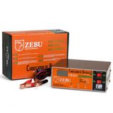 Carregador De Bateria Cb10i Zebu Inteligente